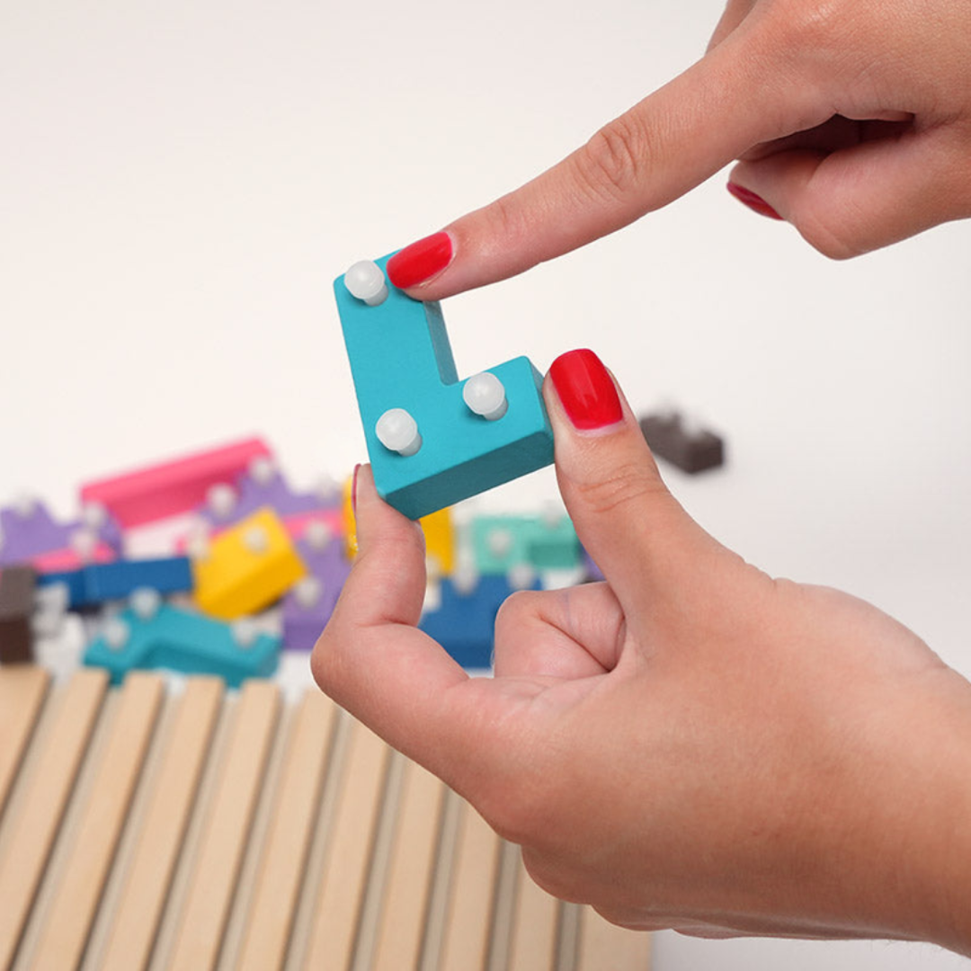 Rasa Sayang Montessori Brain Blocks