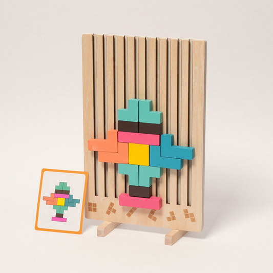 Rasa Sayang Montessori Brain Blocks