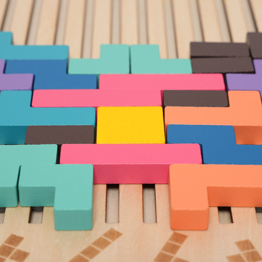 Rasa Sayang Montessori Brain Blocks