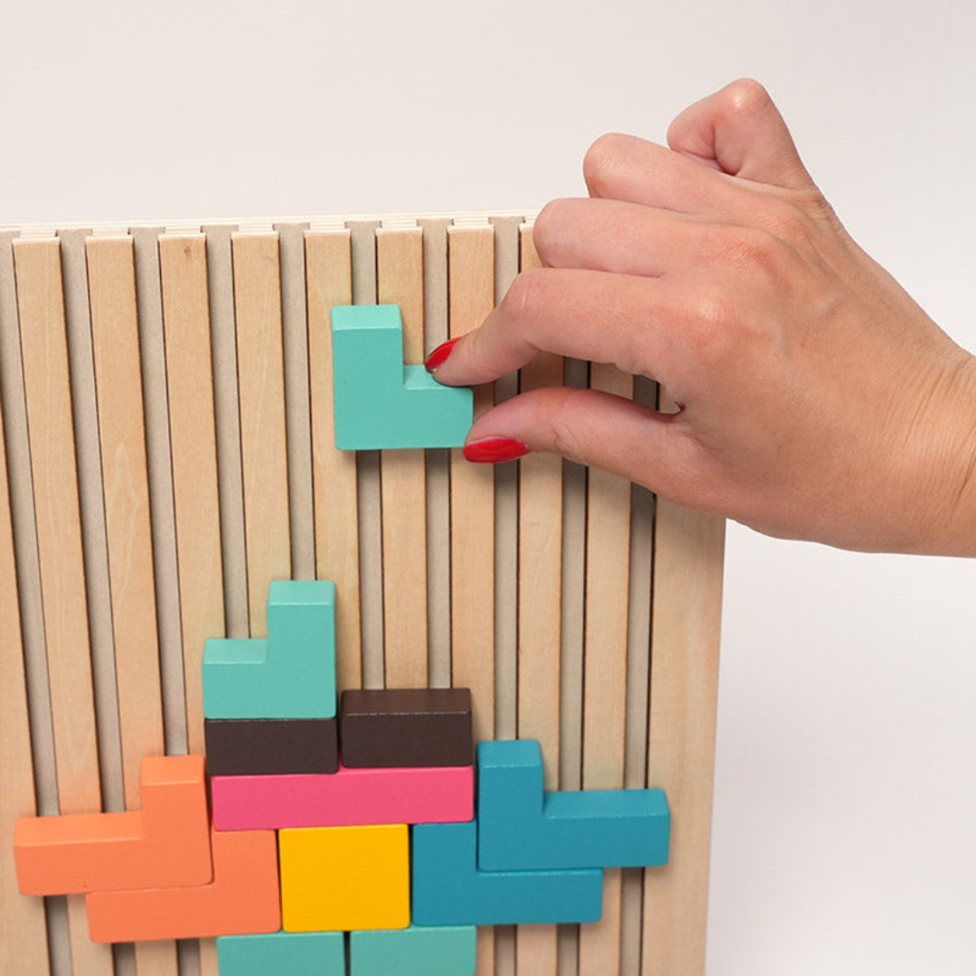 Rasa Sayang Montessori Brain Blocks