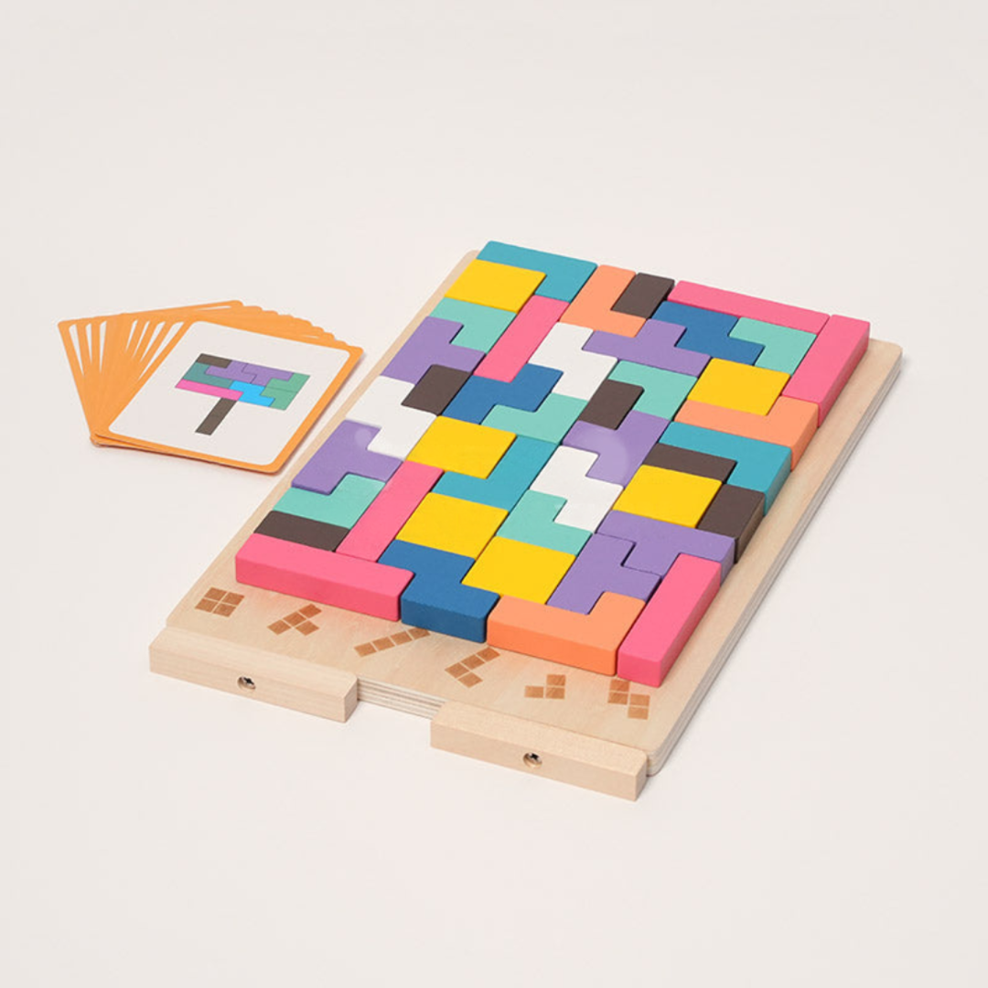 Rasa Sayang Montessori Brain Blocks