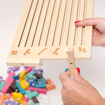 Rasa Sayang Montessori Brain Blocks