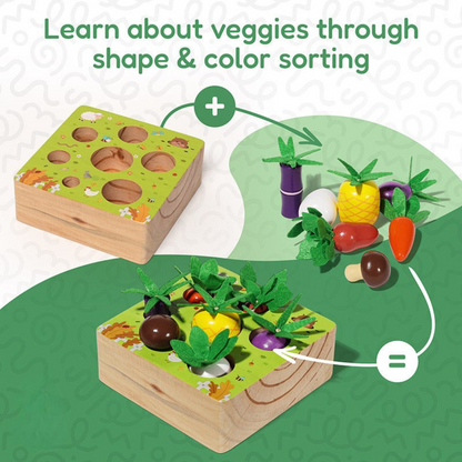 Rasa Sayang Montessori Vegetable Set