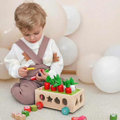 Rasa Sayang Montessori Carrot Wheels