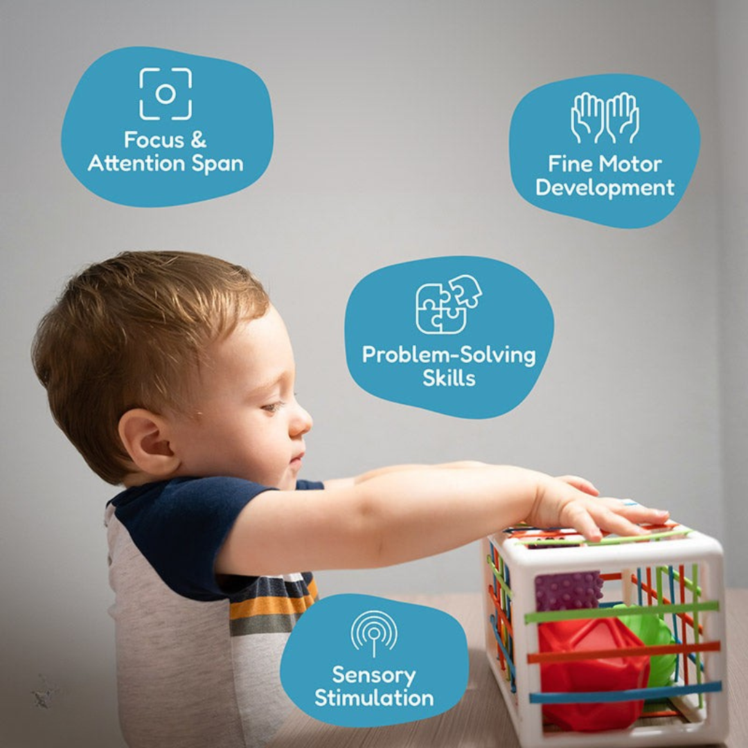 Rasa Sayang Montessori Shape Blocks