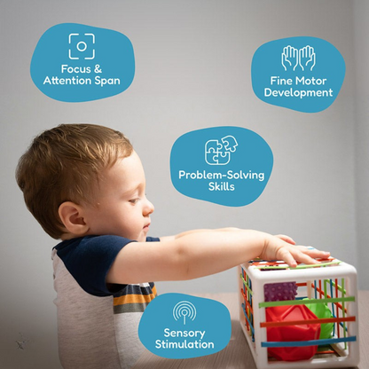 Rasa Sayang Montessori Shape Blocks