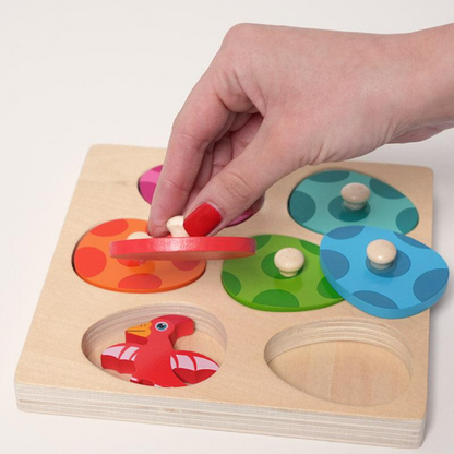 Rasa Sayang Montessori Dino Hatch & Match Set