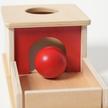 Rasa Sayang Montessori Object Permanence Box