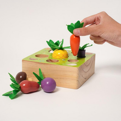 Rasa Sayang Montessori Vegetable Set