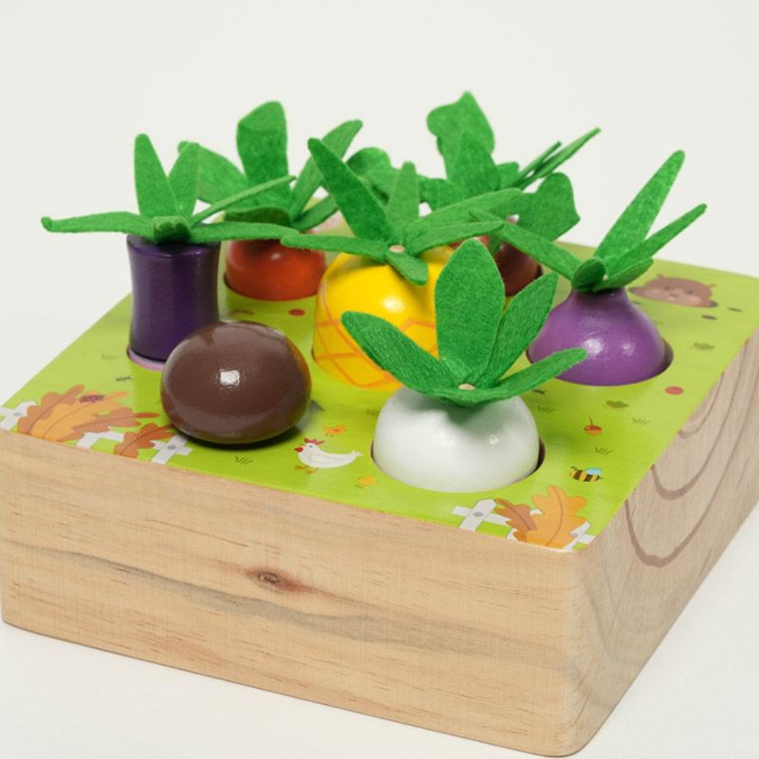 Rasa Sayang Montessori Vegetable Set
