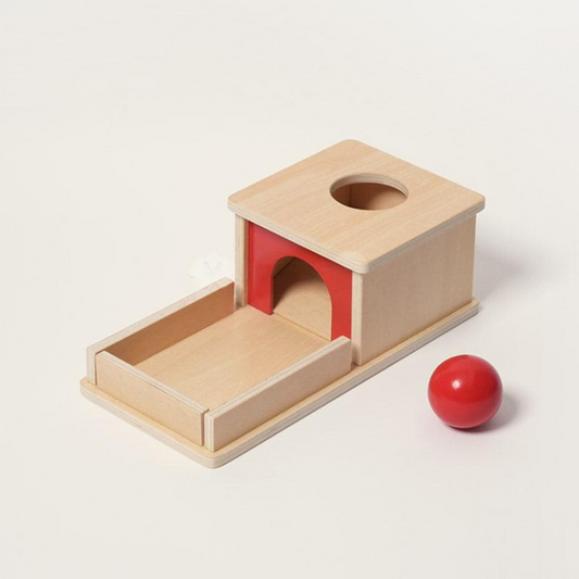 Rasa Sayang Montessori Object Permanence Box