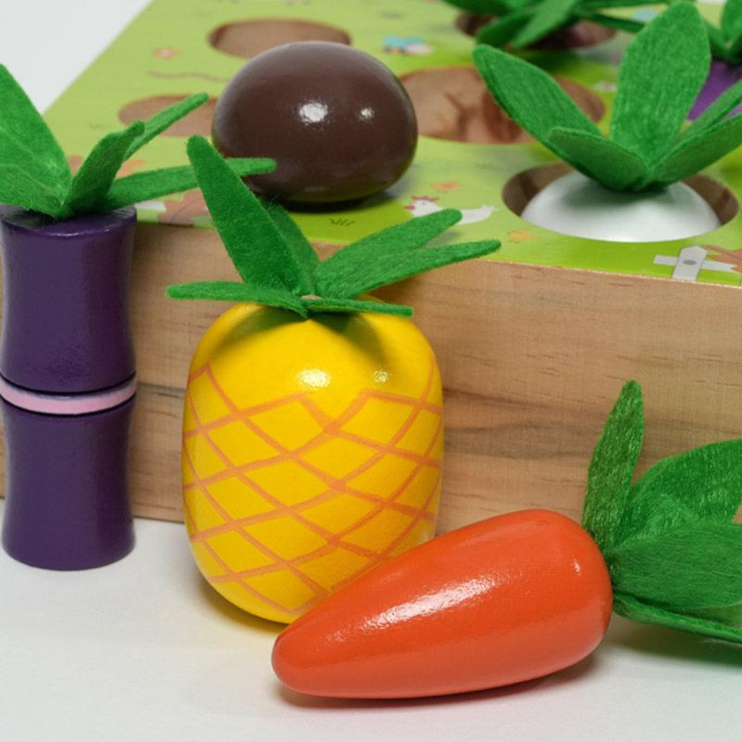Rasa Sayang Montessori Vegetable Set