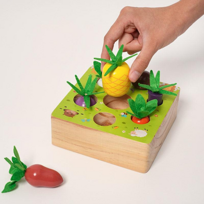 Rasa Sayang Montessori Vegetable Set