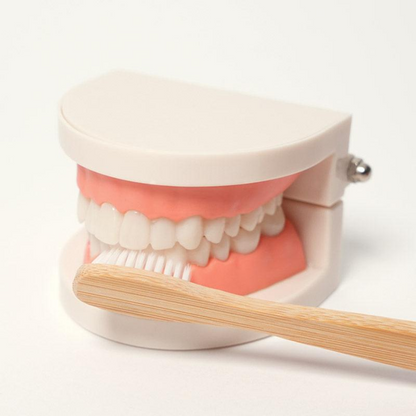 Rasa Sayang Montessori Brushing Teeth Learning Set