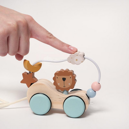 Rasa Sayang Montessori Roaring Roller