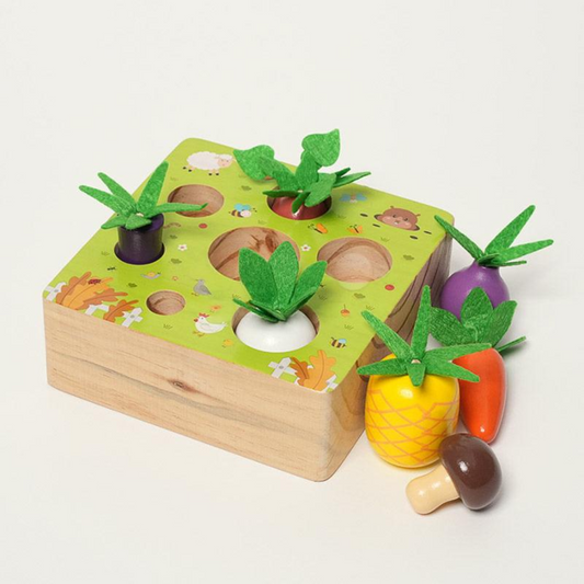 Rasa Sayang Montessori Vegetable Set