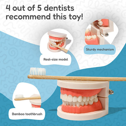 Rasa Sayang Montessori Brushing Teeth Learning Set
